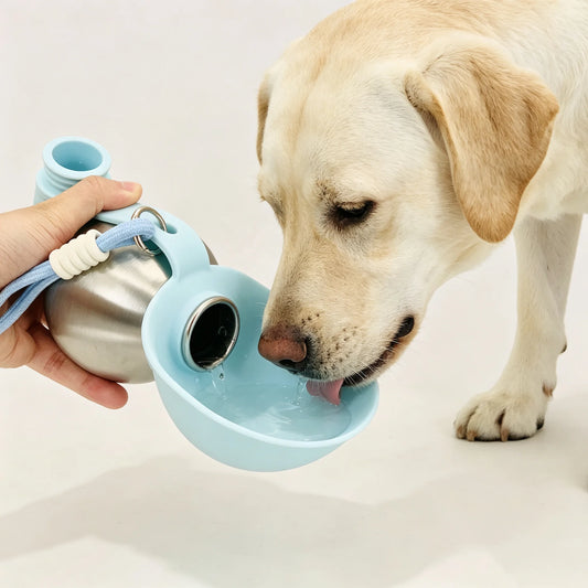 2-in-1 Travel Water Bottle for Animals - Stainless Steel, 250ml (8,45oz)